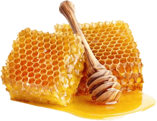 raw-wildflower-honey