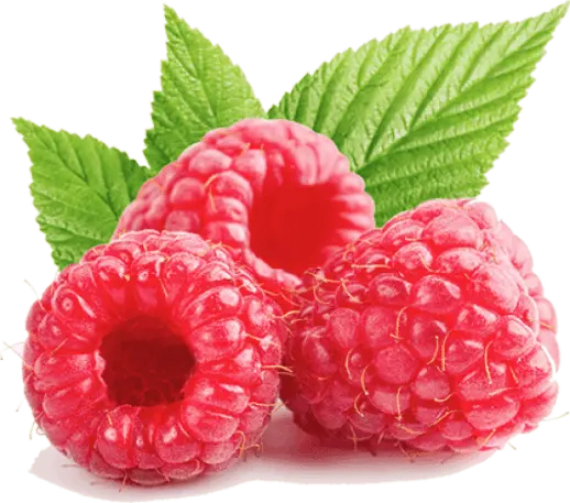 wild-raspberry
